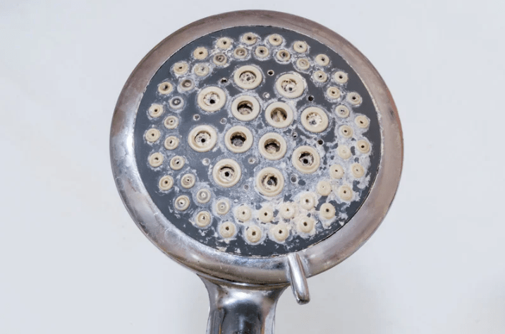 shower head with hard water
